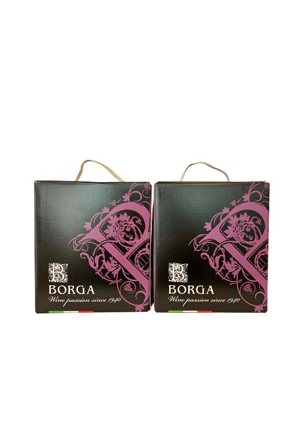 Set 2 Bag in Box Cabernet Sauvignon Rosu Sec 5L